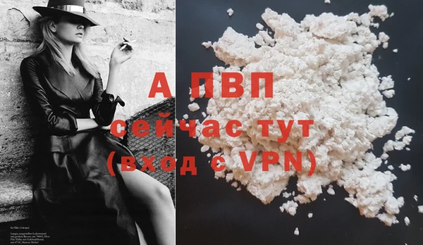 спиды Новокубанск