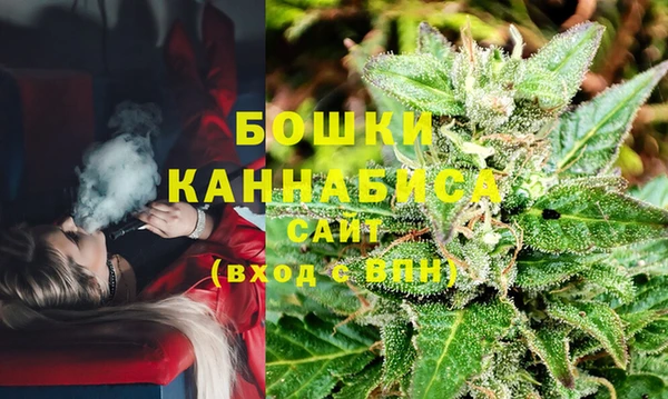 не бодяженный Новодвинск