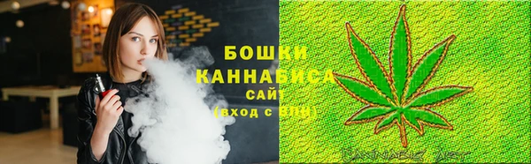 не бодяженный Новодвинск
