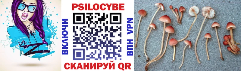 ОМГ ОМГ ссылка  Усмань  Псилоцибиновые грибы MAGIC MUSHROOMS  что такое наркотик 
